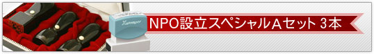 NPO設立スペシャルAセット