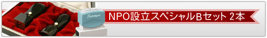 NPO設立スペシャルBセット