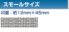 �X���[���T�C�Y ���12mm�~45mm�j