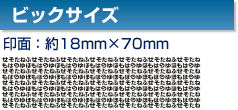 �r�b�N�T�C�Y ���18mm�~70mm�j
