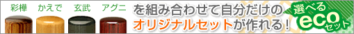 �I�ׂ�G�R�Z�b�g