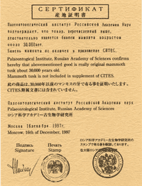 証明書