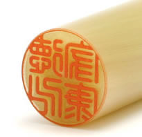 牛角(オランダ水牛)