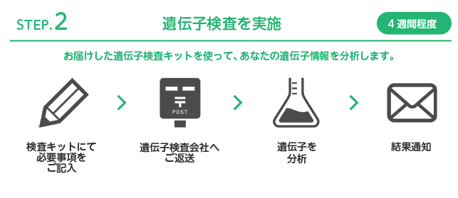 お届けした遺伝子検査キットを使って、あなたの遺伝子情報を分析します。