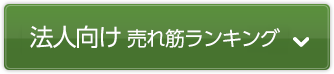 法人向け 売れ筋ランキング