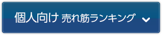 個人向け 売れ筋ランキング