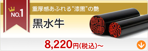 印鑑セット／実印・銀行印2本セット／プラチナ+Sケース付-SS-アグニ