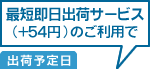 最短即日出荷サービス