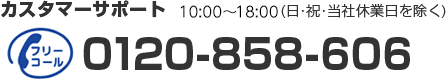 カスタマーサポート：10:00〜18:00（日・祝・当社休業日を除く）　フリーコール：0120-858-603　携帯電話はこちら：06-6225-2110