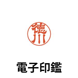 電子印鑑 個人用 苗字タイプ