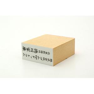 特殊用途[黒ゴム] テキスト入稿ゴム印（耐油） 23×51mm