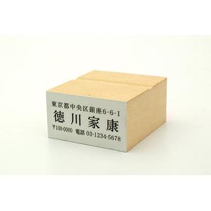 特殊用途[黒ゴム] テキスト入稿ゴム印（耐油） 28×51mm