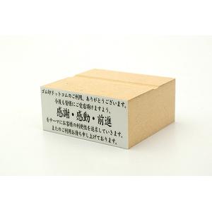特殊用途[黒ゴム] テキスト入稿ゴム印（耐油） 28×63mm