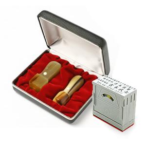 LLP設立 実印・角印 天丸+組合せ住所印セット 牛角・中色 2本（角24）【整理ケース＆アドレス印3段付】【印鑑】