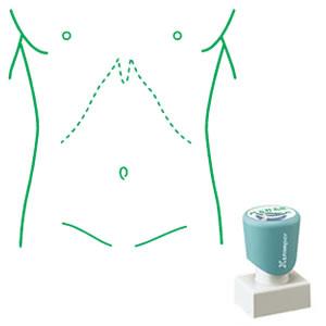 シャチハタ 角型印 2030号 医療用人体図 胴体
