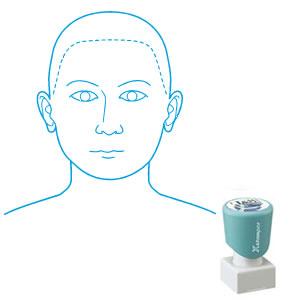 シャチハタ 角型印 2020号 医療用人体図 頭（正面）