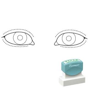 シャチハタ 角型印 1850号 医療用人体図 眼（2）
