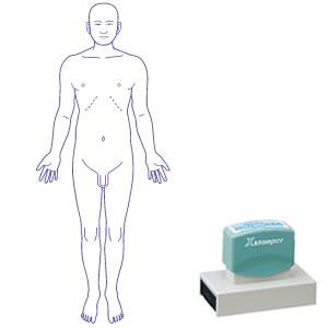 シャチハタ 角型印 40100号 医療用人体図 全身（男性正面）