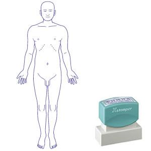 シャチハタ 角型印 2060号 医療用人体図 全身（男性正面）