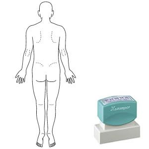 シャチハタ 角型印 2060号 医療用人体図 全身（男性背面）
