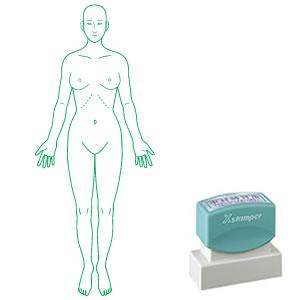 シャチハタ 角型印 2060号 医療用人体図 全身（女性正面）