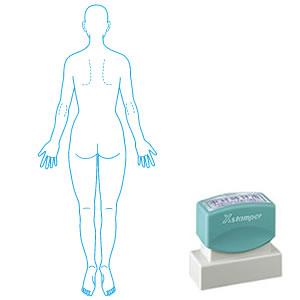 シャチハタ 角型印 2060号 医療用人体図 全身（女性背面）