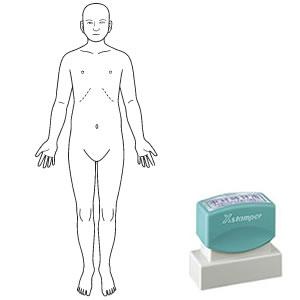 シャチハタ 角型印 2060号 医療用人体図 全身（正面）