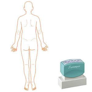 シャチハタ 角型印 2060号 医療用人体図 全身（背面）