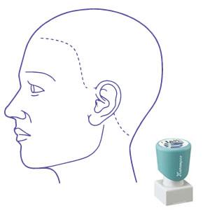 シャチハタ 角型印 2020号 医療用人体図 頭（左側）