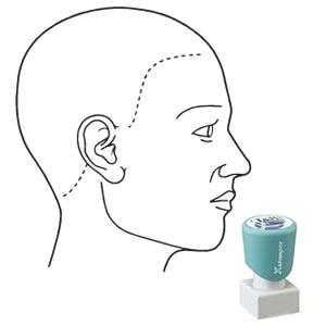 シャチハタ 角型印 2020号 医療用人体図 頭（右側）