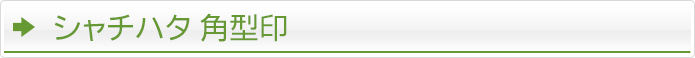 シャチハタ 角型印