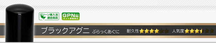 会社 角印 ブラックアグニ