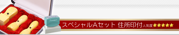 会社設立Aセット