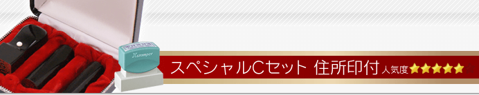 会社設立スペシャルCセット