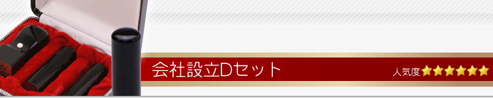 会社設立Dセット