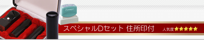 会社設立スペシャルDセット