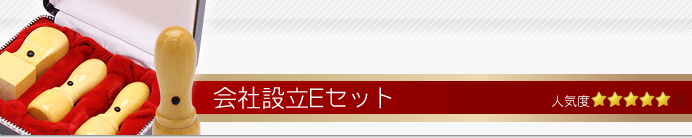 会社設立Eセット