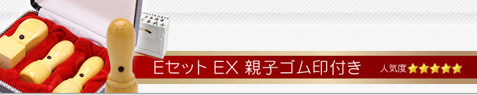 会社設立EセットEX