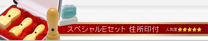 会社設立スペシャルEセット