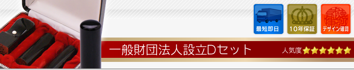 一般財団法人設立Cセット