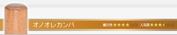 会社 認印 オノオレカンバ