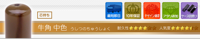 銀行印 牛角・中色