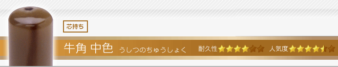 会社 角印 牛角・中色