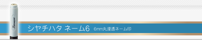 シャチハタ ネーム6