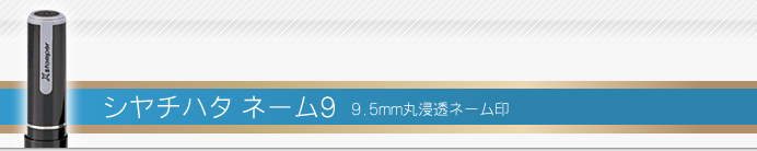 シャチハタ ネーム9