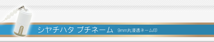 シャチハタ プチネーム