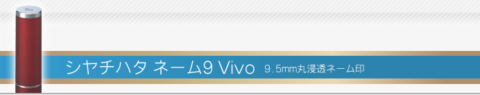 シャチハタ ネーム9 Vivo