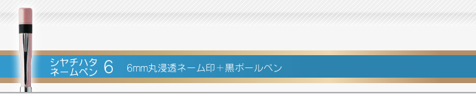 シャチハタ ネームペン6