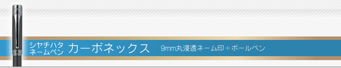 ネームペン カーボネックス