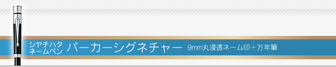 ネームペン パーカーシグネチャー 万年筆